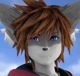 Furry Sora