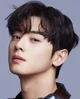 Cha Eunwoo