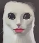 Cat with lips
