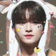 Hybrid Minho