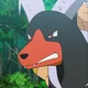 Houndoom
