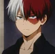 Todoroki Shoto 
