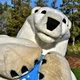 Polar Bear Mascot