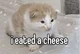 I eated a cheese