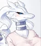 Comfort Reshiram 