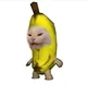 Banana cat
