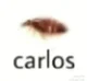carlos