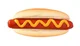 Hotdog