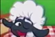 wooly the sheep
