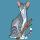 Jayfeather
