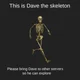 dave the skeleton