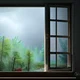 Thunderstorm- Scene