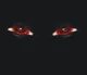 The Eyes 