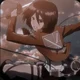 Mikasa Ackerman