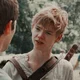 Newt