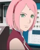 Uchiha Sakura