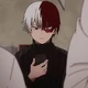 Shoto Todoroki