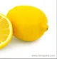A lemon who talks