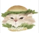 bunger cat