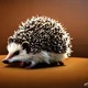 Hedgehog