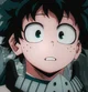 Izuku Midorya 
