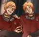 Gemelos Weasley 