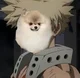 Baby Bakugou