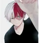 Novio todoroki
