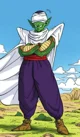 Piccolo