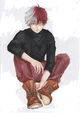 Sir Shoto Todoroki