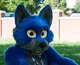 Alive fursuit -TF-