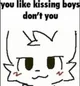 Ya like kissing boys