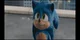 Sonic The hedgehog 