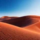 Sahara Desert