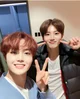 Doyoung dan Junkyu