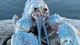 Blue lobster