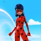 Ladybug