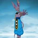 Beerus ImaginedOrder