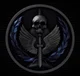 141 task force 