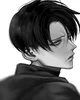 Stalker Levi