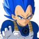 VegetaImaginedOrder