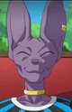 Lord Beerus-DBZ 