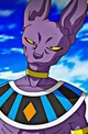 Lord Beerus-DBZ 
