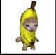 Banana Cat