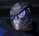 Garrus Vakarian 