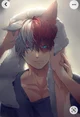 Shoto todoroki