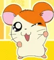 Hamtaro 