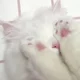 embedethuong