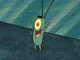Plankton