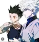 Killua and gon 